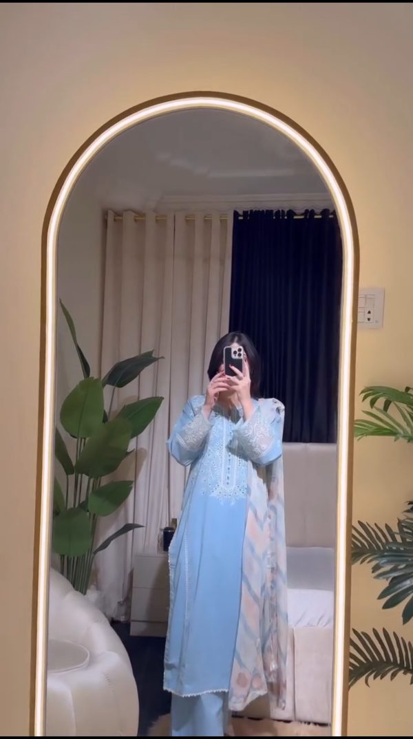 Screenshot_20251125_121354 Sky blue A38